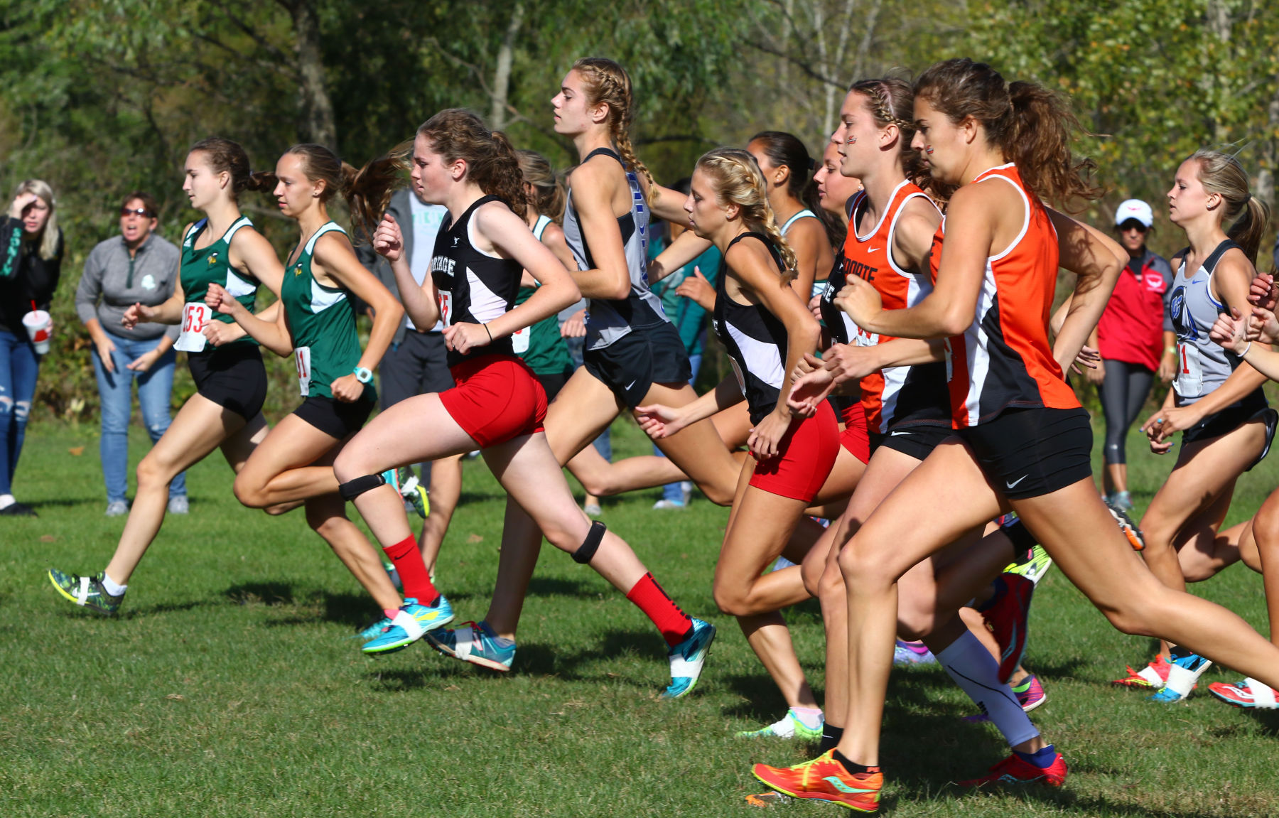 Gallery: Duneland Athletic Conference cross country meet
